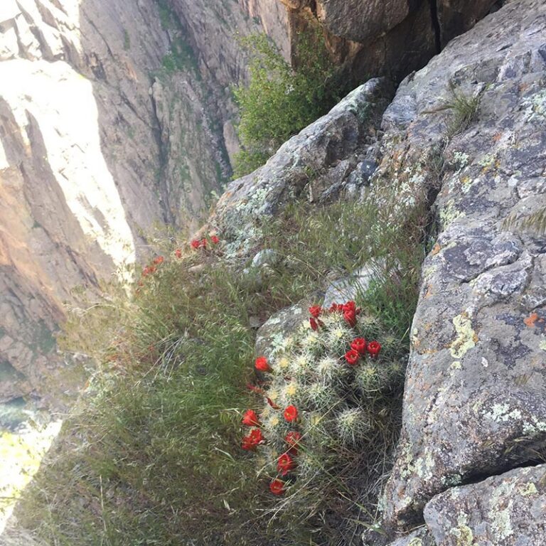 Black-Canyon-IMG_5438-rotated