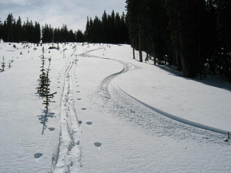 Guided-Backcountry-Skiing-and-Splitboarding-166_6691