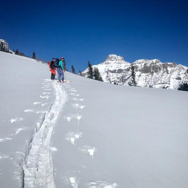 Guided-Backcountry-Skiing-and-Splitboarding-IMG_2024-768x768