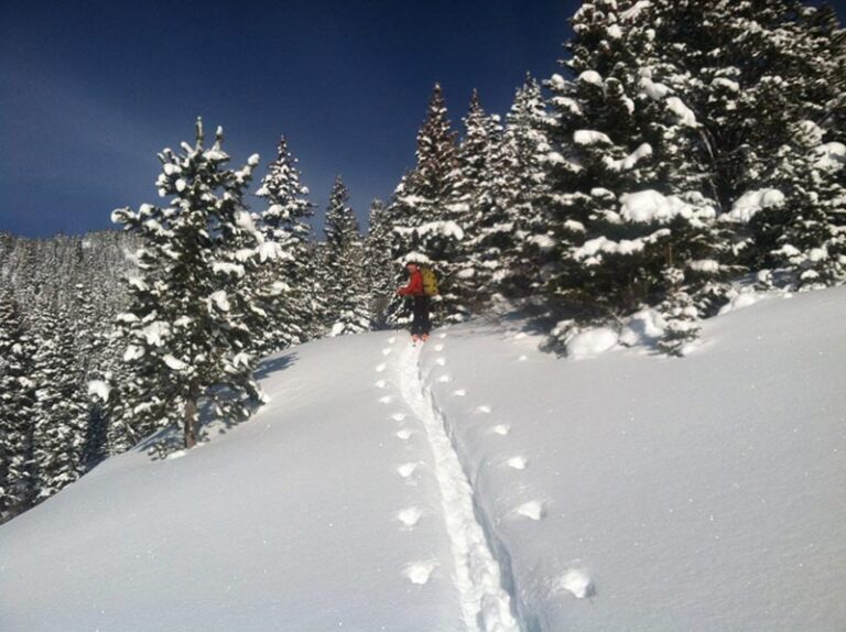 Guided-Backcountry-Skiing-and-Splitboarding-IMG_6851