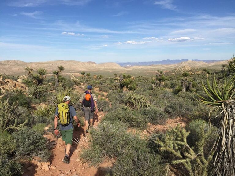 Red-Rock-Nevada-IMG_1277