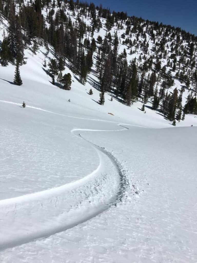 Ski-Split-Mountaineering-Course-3-Day-28468133_10216098564161656_5443924919194166123_n